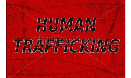 16 arrested in human trafficking investigation
