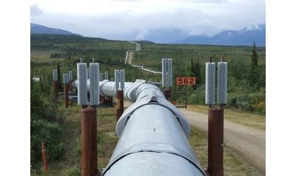 XL Pipeline company seeks pause in review