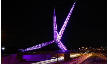 Bridge being lit purple for cancer awareness