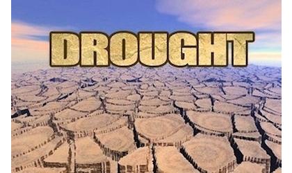 Disaster designation for 4 Oklahoma counties due to drought
