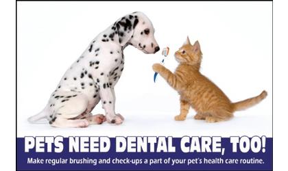 February is Pet Dental Health month