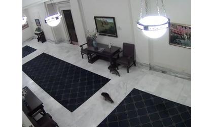 Intruders trapped in State Capitol