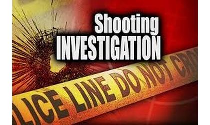 1 dead, 1 wounded in suspected homicide-attempted suicide
