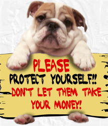 BBB issues alert on puppy scams