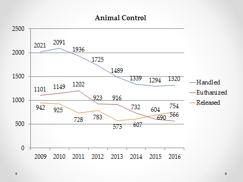 Animal Control euthanizes fewer animals in 2016