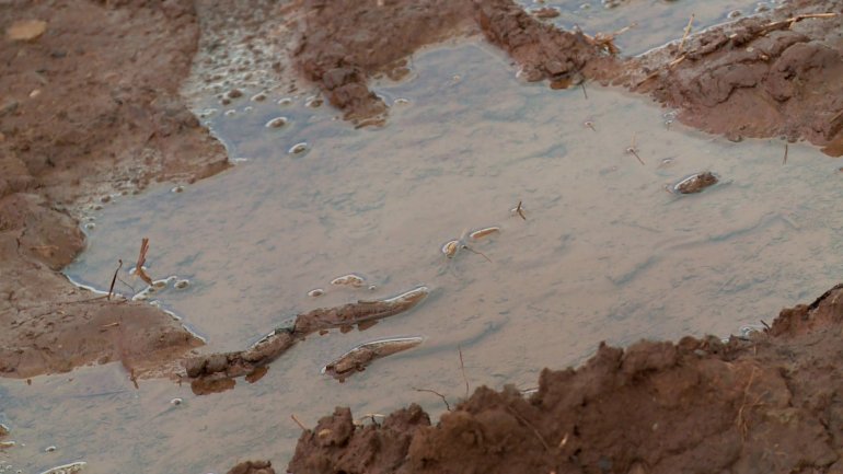 Saltwater spill adds to water problems in Tallgrass Prairie Preserve