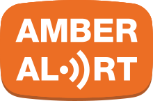 Amber Alert issued for boy, 13, in Westville