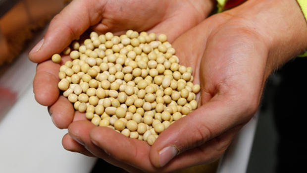 Oklahoma soybean farmers frustrated over price drop