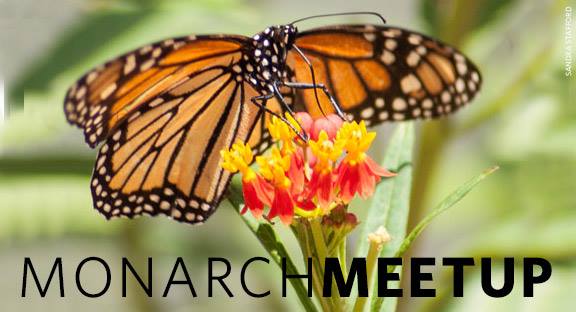 Monarch Meetup Tuesday at Pioneer Technology Center