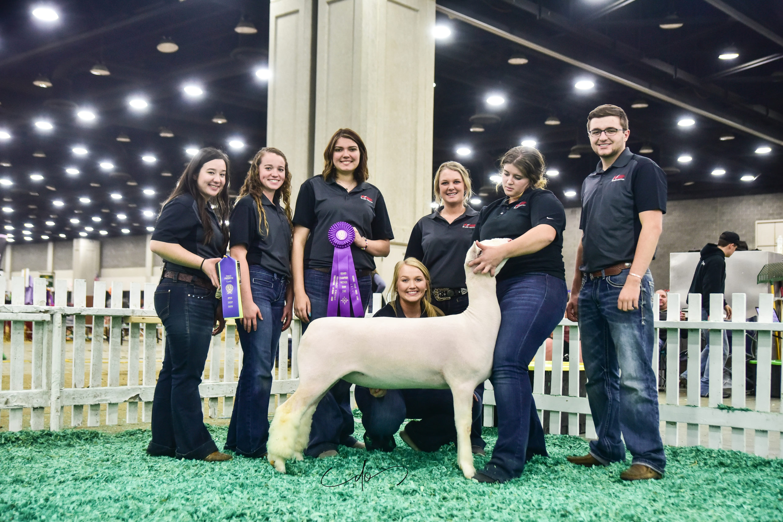 NOC Sheep Production students earn honors