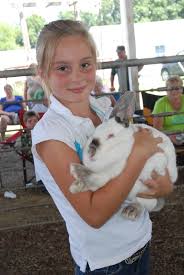 All Rabbit Exhibitions Banned in Oklahoma for Ninety Days
