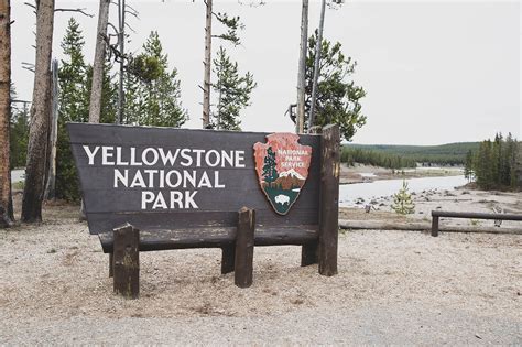Man who guided illegally in Yellowstone gets week in jail