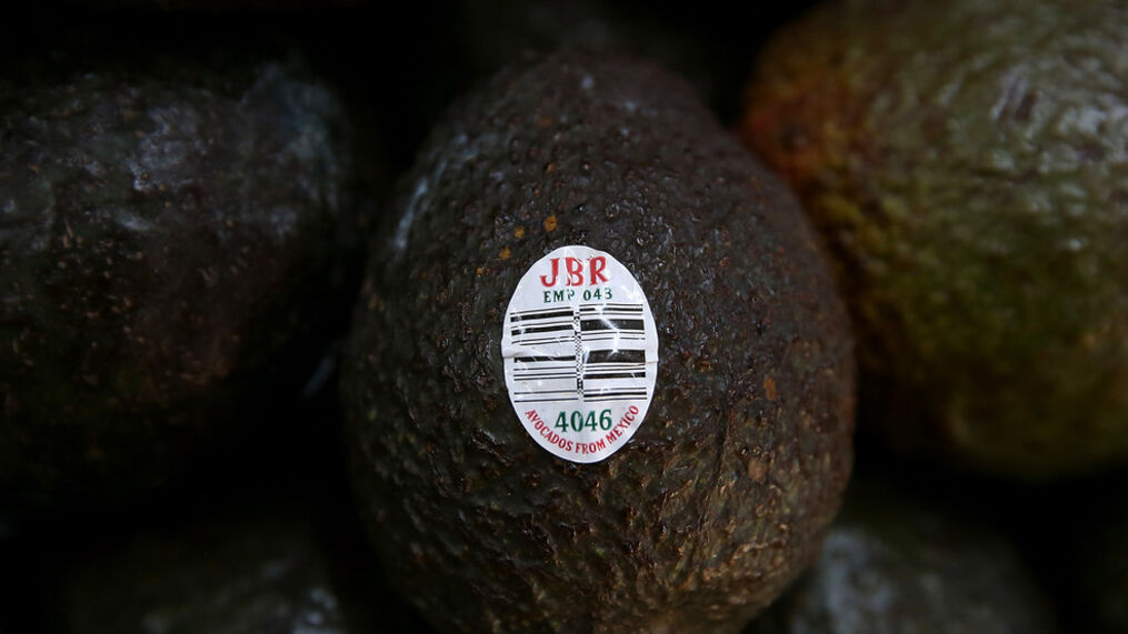 US Suspends Mexican Avocado Imports After Threats