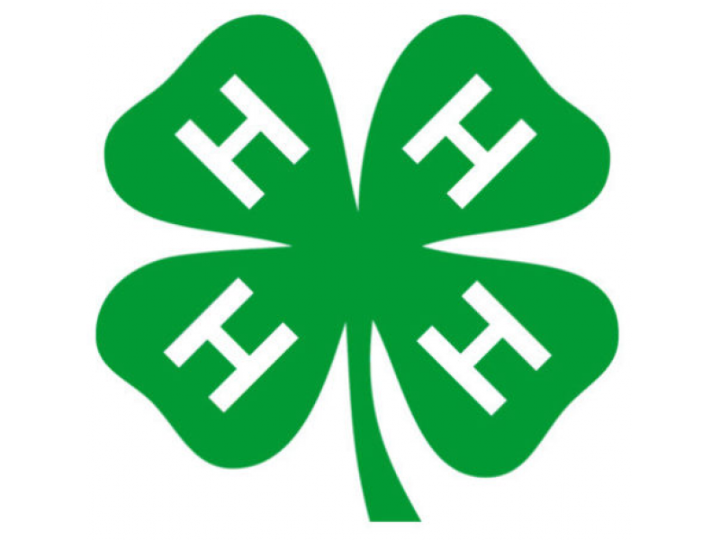 Bill Granting Students in 4-H Activities an Excused Absence Passes Committee