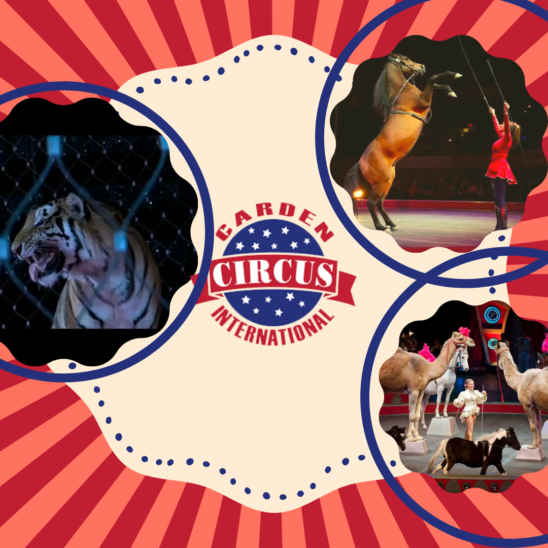 Carden International to Present Circus Spectacular in Enid in March