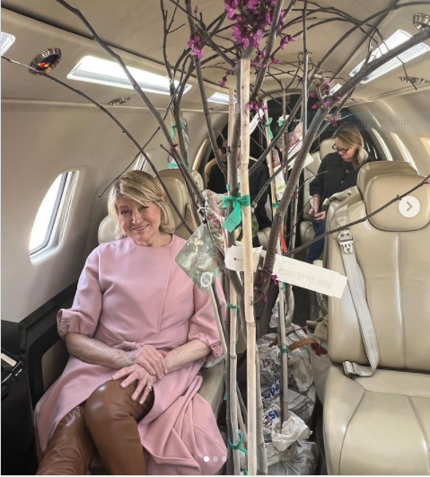 Martha Stewart Takes Home Eight Eastern Redbuds from Tulsa Nursery During Oklahoma Visit