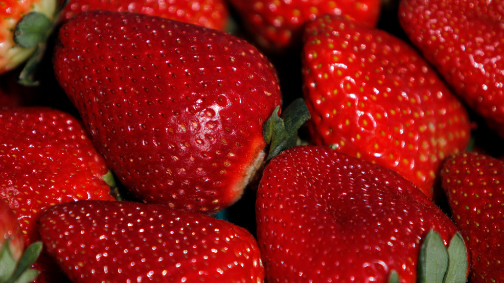 US, Canadian Regulators Tie Hepatitis Cases to Strawberries