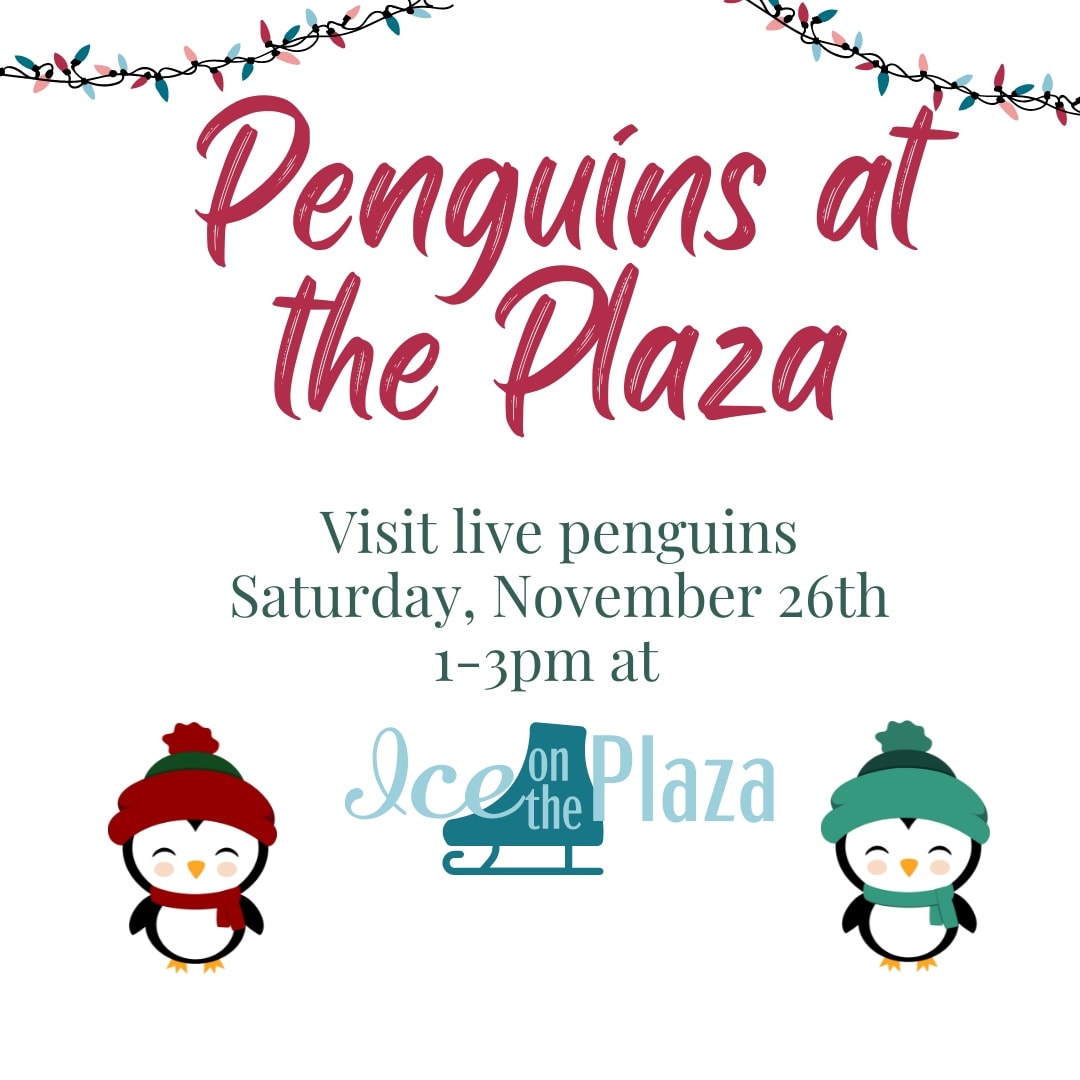 Live Penguins and Small Business Saturday This Weekend in Ponca City