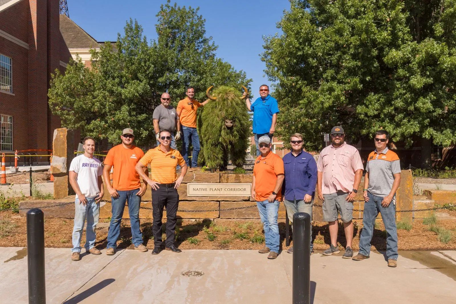 Oklahoma State University Unveils First Year-Round Bison Topiary on Campus