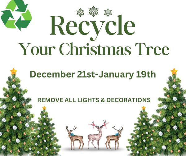 CHRISTMAS TREE RECYCLING