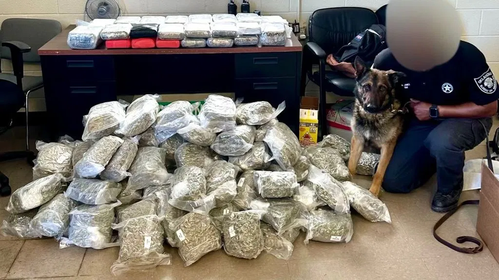 OBN: 27 kilos of cocaine, 5 kilos of fentanyl, and 94 pounds of marijuana seized