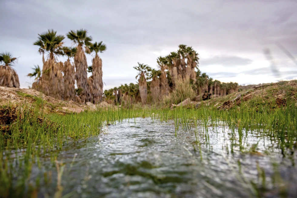 Arizona Tribe Fights to Stop Lithium Drilling on Culturally Significant Lands